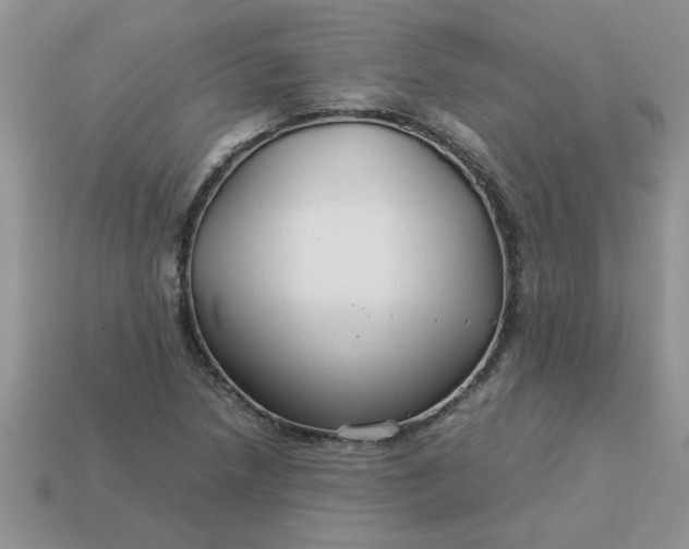 X0000113011218200909101810