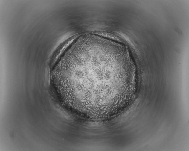 X0000113011219200909101810