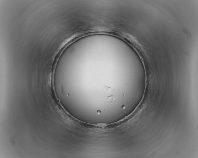 X0000113011220200909101810