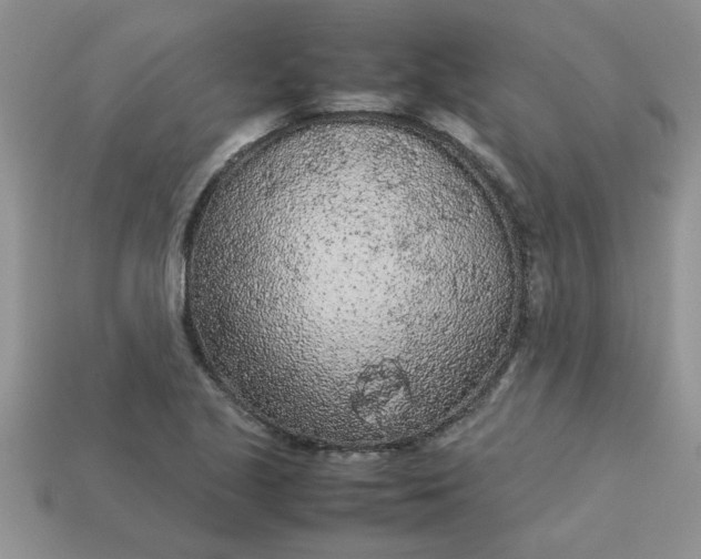 X0000113011221200909101810