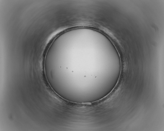 X0000113011222200909101810