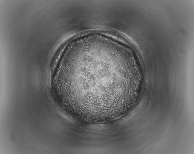 X0000113011223200909101810