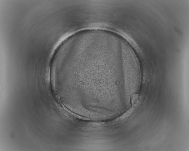 X0000113011224200909101810