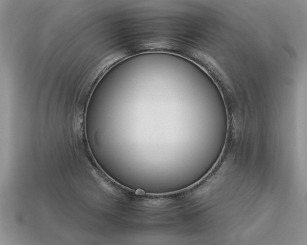 X0000113011225200909101810