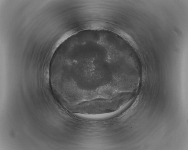 X0000113011226200909101810