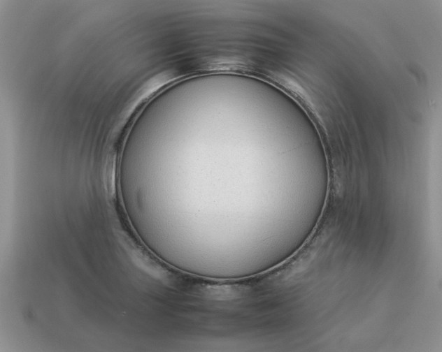 X0000113011227200909101810