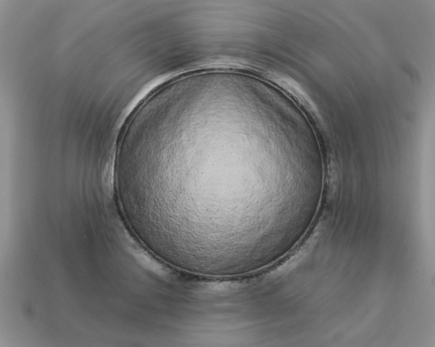 X0000113011228200909101810