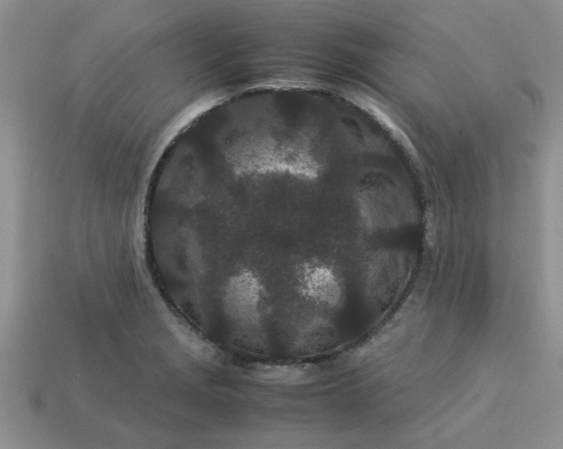 X0000113011229200909101810