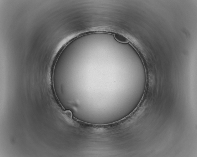 X0000113011230200909101811