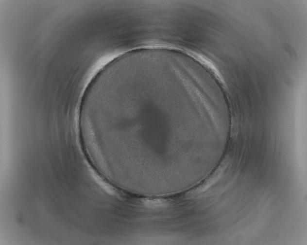 X0000113011231200909101811