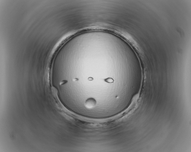 X0000113011232200909101811