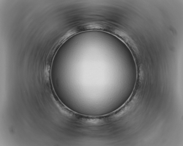 X0000113011233200909101811