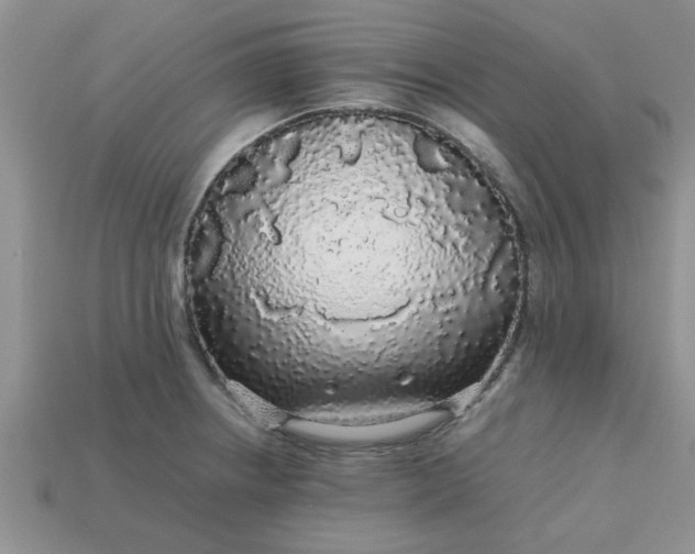 X0000113011234200909101811