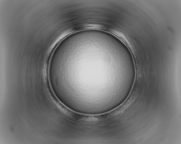 X0000113011235200909101811