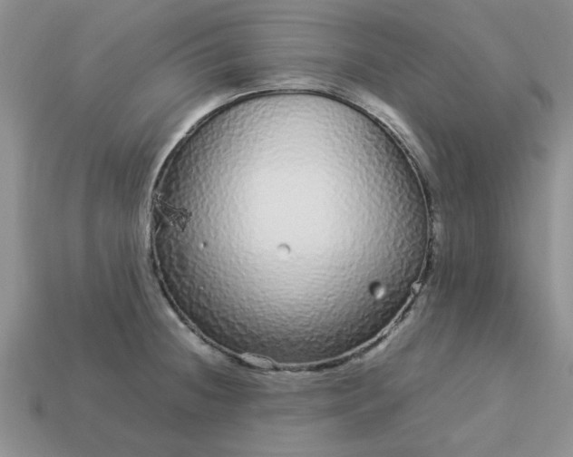 X0000113011236200909101811