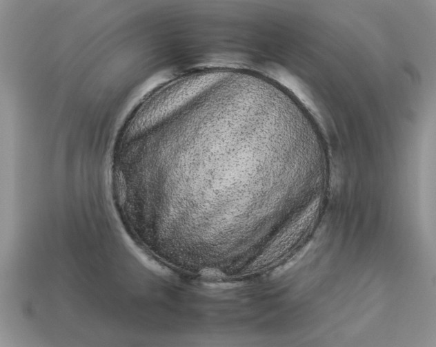 X0000113011237200909101811