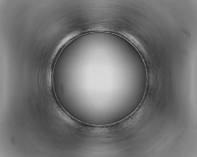 X0000113011238200909101811