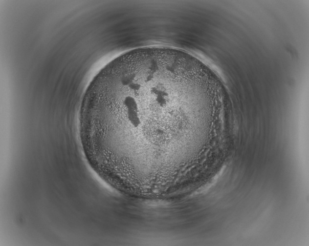 X0000113011239200909101811