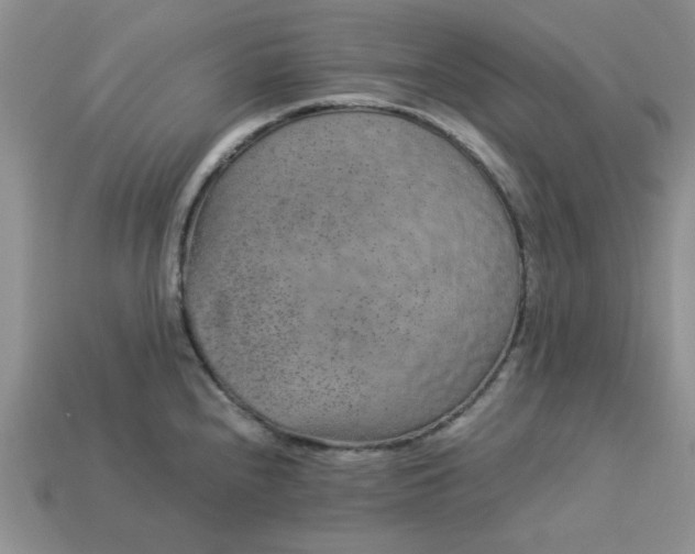 X0000113011240200909101811