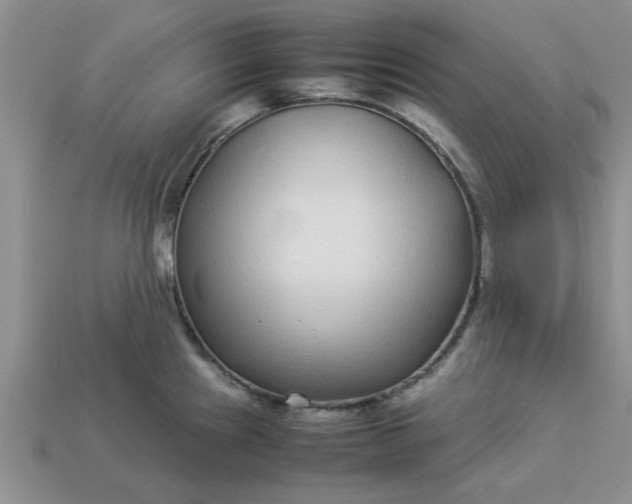 X0000113011241200909101811