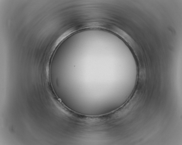 X0000113011242200909101811