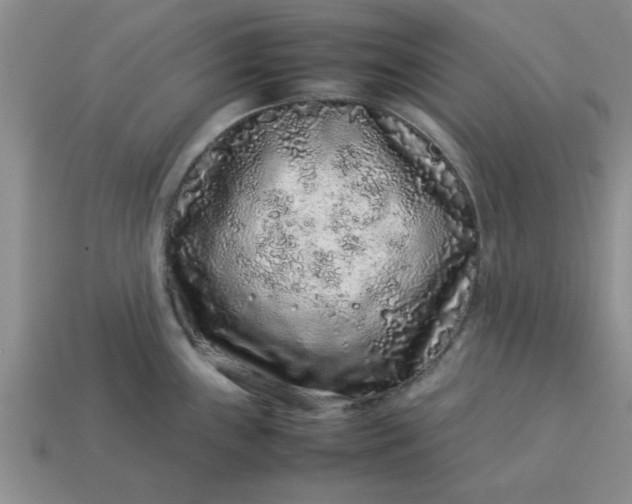 X0000113011243200909101811