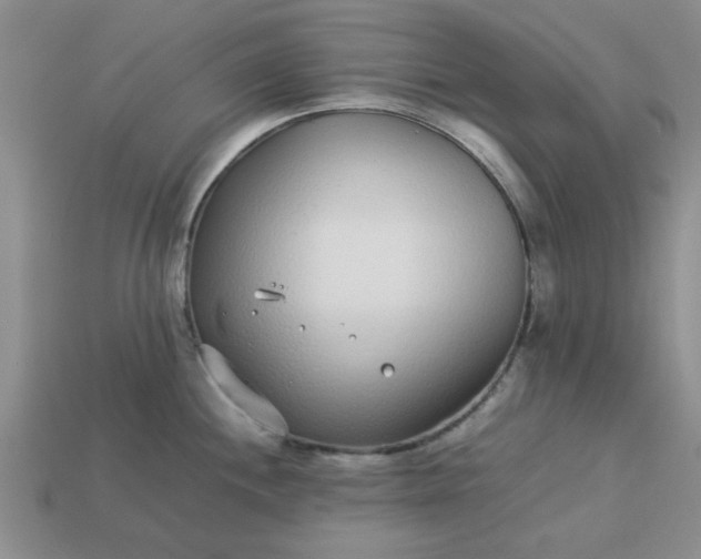 X0000113011244200909101811