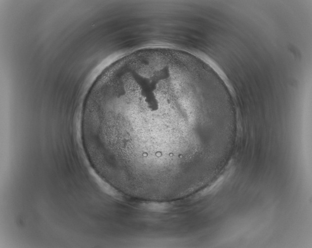 X0000113011245200909101811