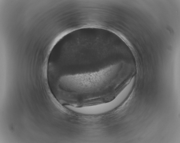 X0000113011246200909101811