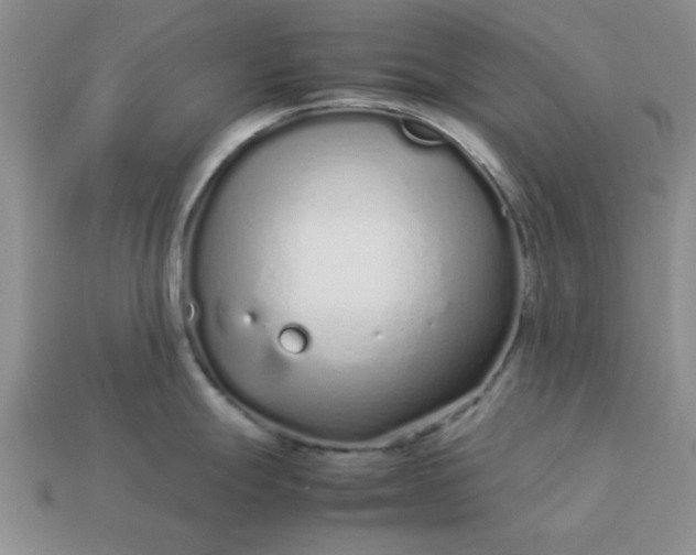 X0000113011247200909101811