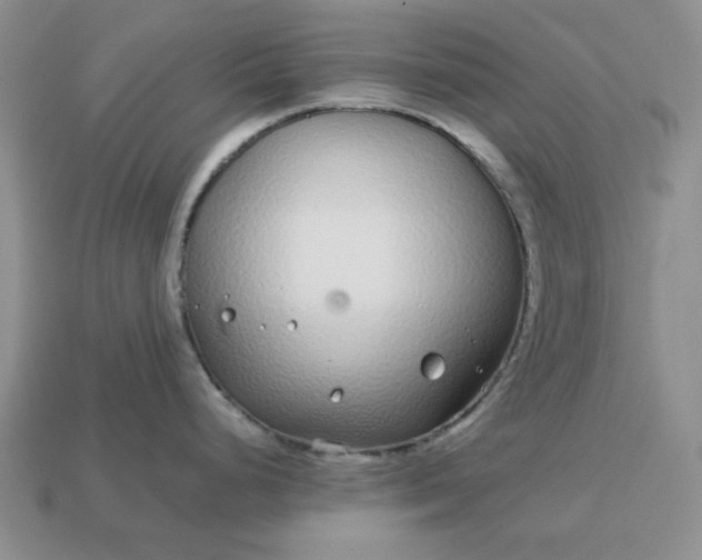 X0000113011248200909101811