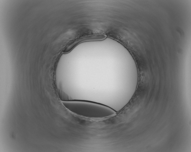 X0000113011249200909101810