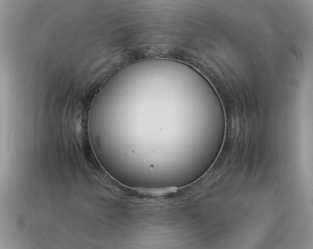 X0000113011250200909101810