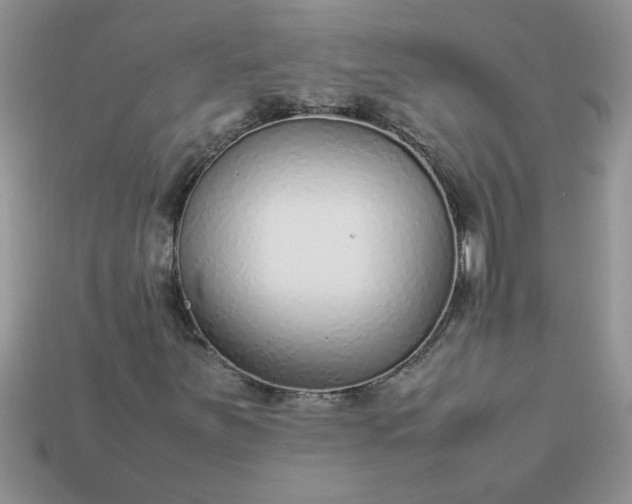 X0000113011251200909101810