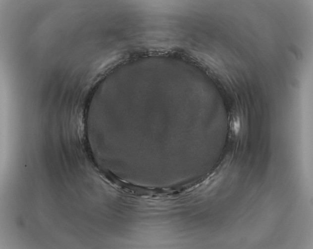 X0000113011252200909101810