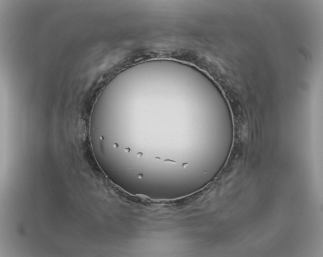 X0000113011253200909101810