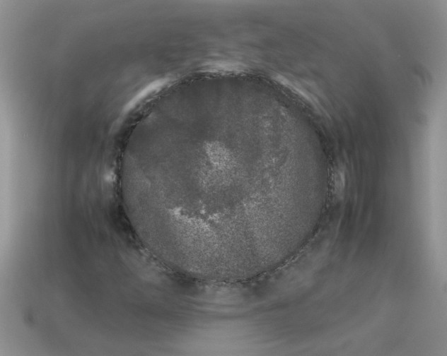 X0000113011254200909101810