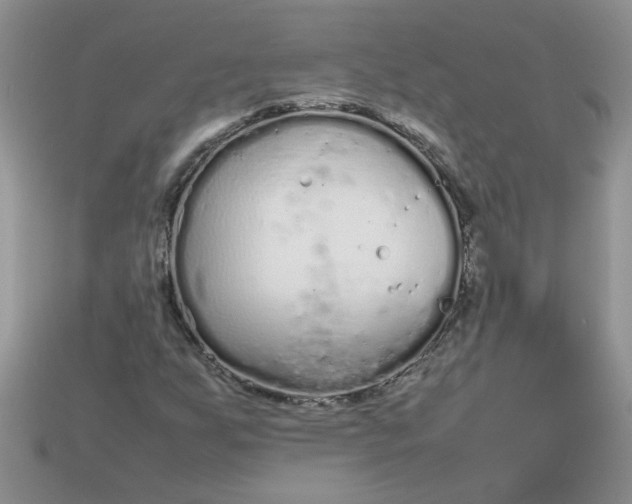 X0000113011255200909101810