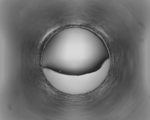 X0000113011256200909101810