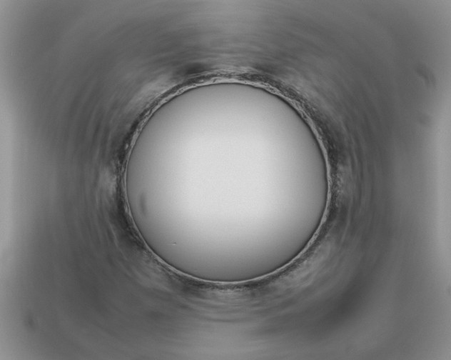 X0000113011257200909101810