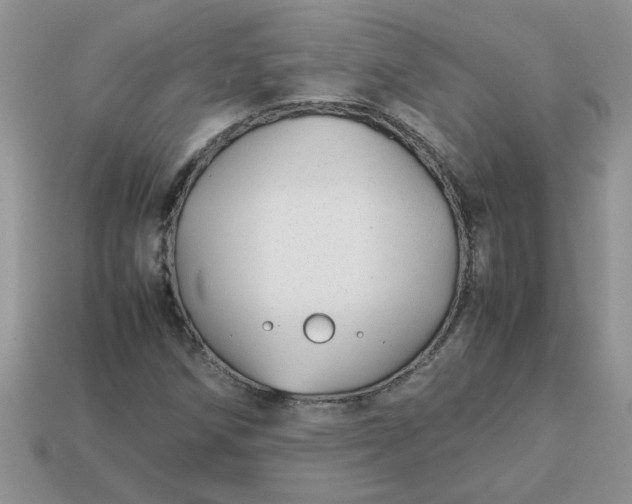 X0000113011258200909101810