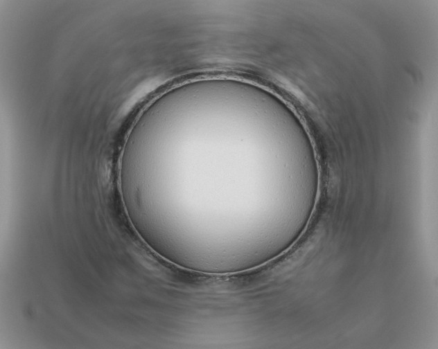 X0000113011259200909101810