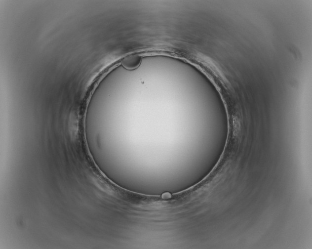 X0000113011260200909101810