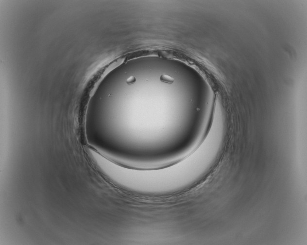 X0000113011261200909101810