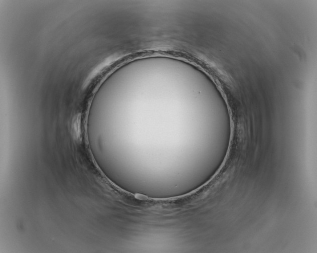 X0000113011262200909101810