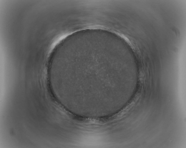 X0000113011263200909101810