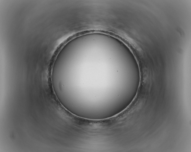 X0000113011264200909101810