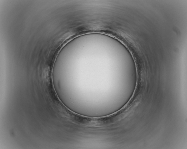 X0000113011265200909101810