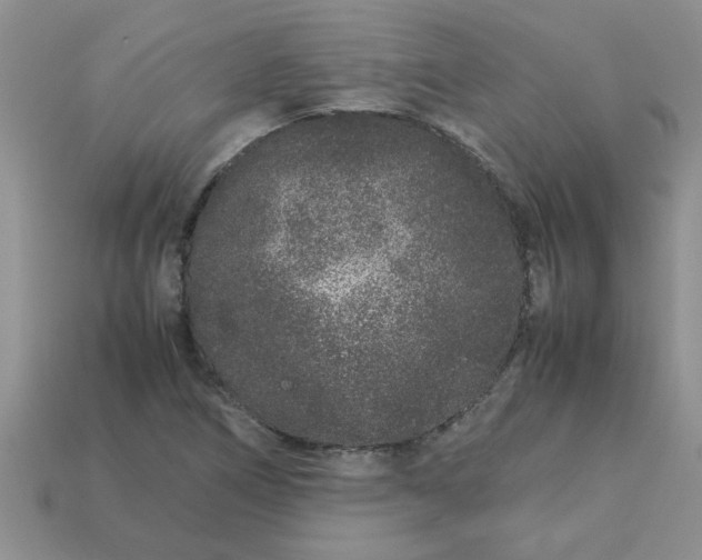 X0000113011266200909101810