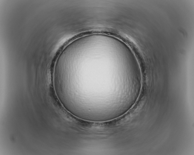 X0000113011267200909101810